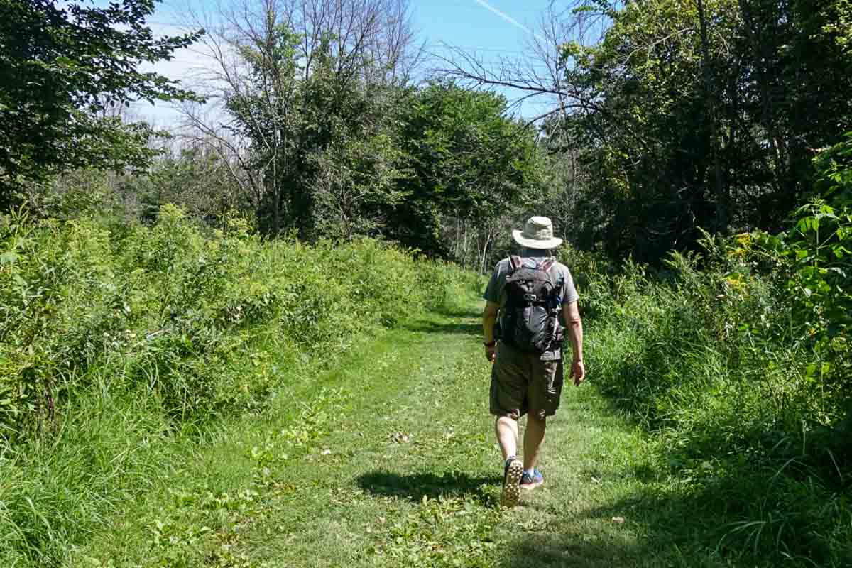 hiking day pack