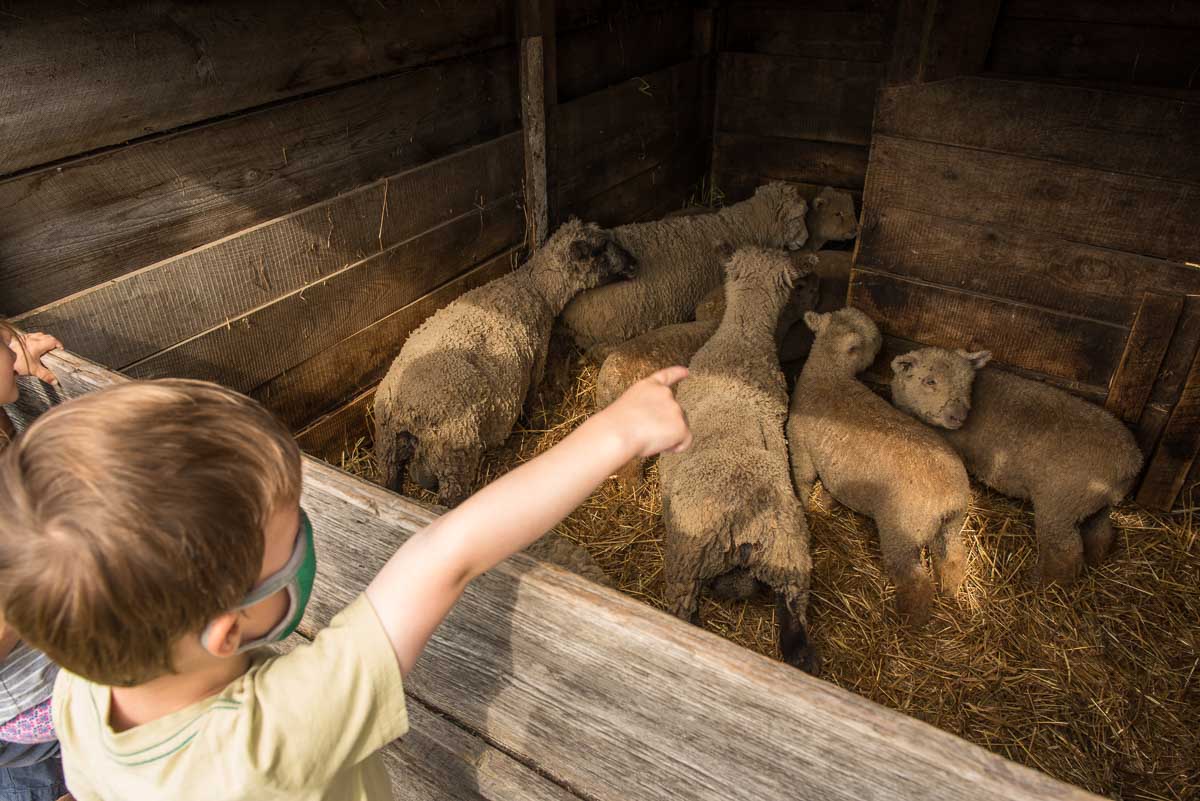 Oliver Kelley historic farm