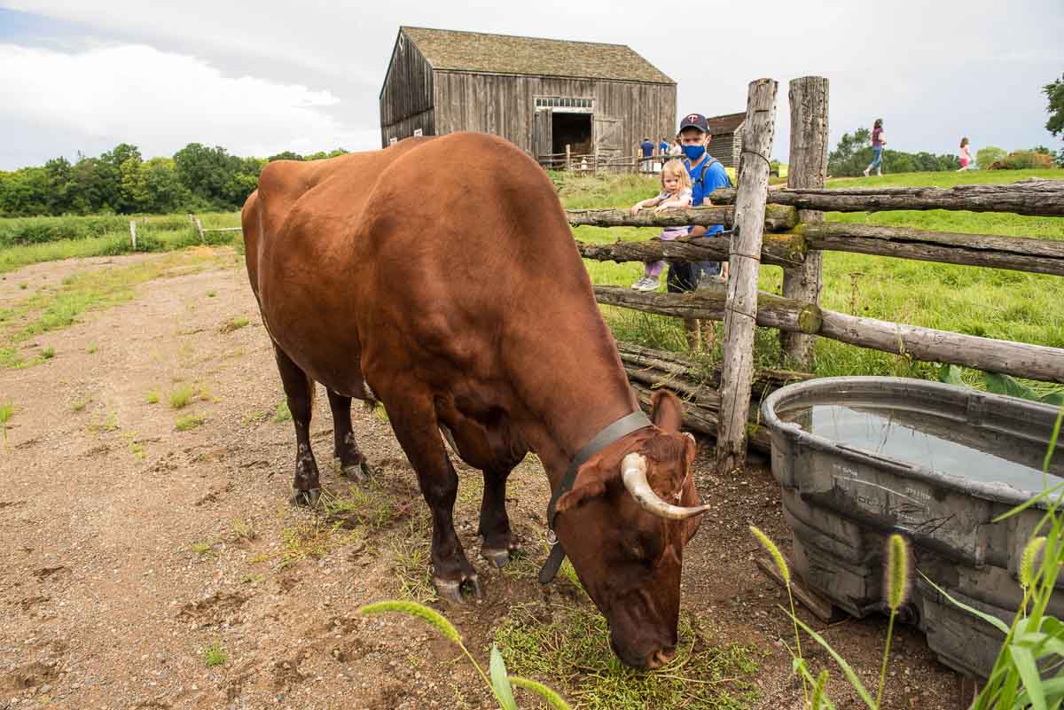 minnesota oliver kelley farm matt anna