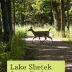 Lake Shetek State Park Minnesota