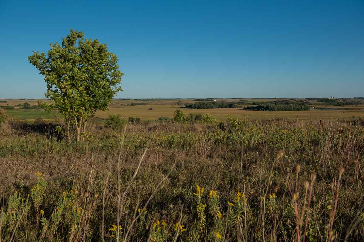 minnesota blue mounds state park prairie