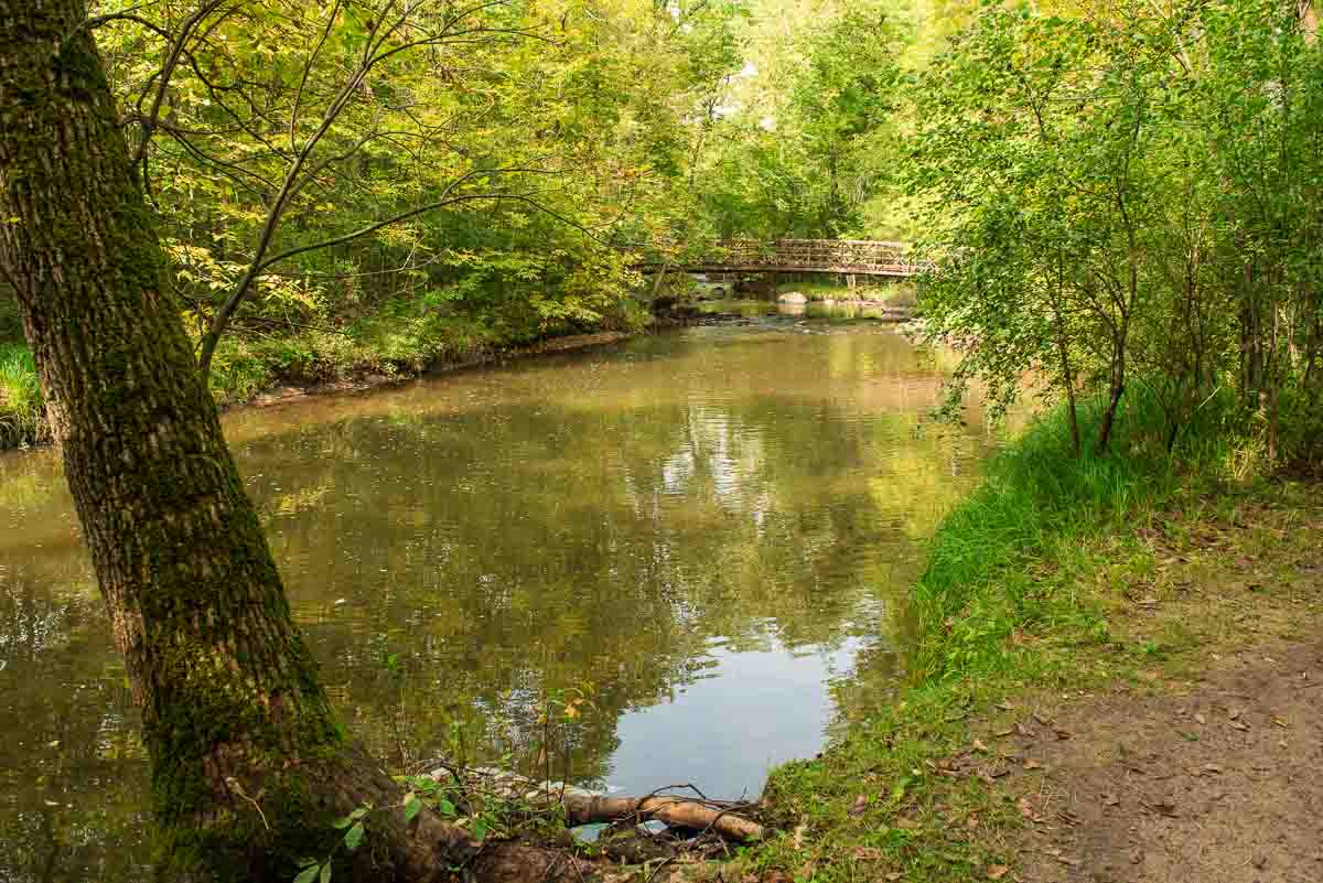 minnesota lindbergh state park pikes creek