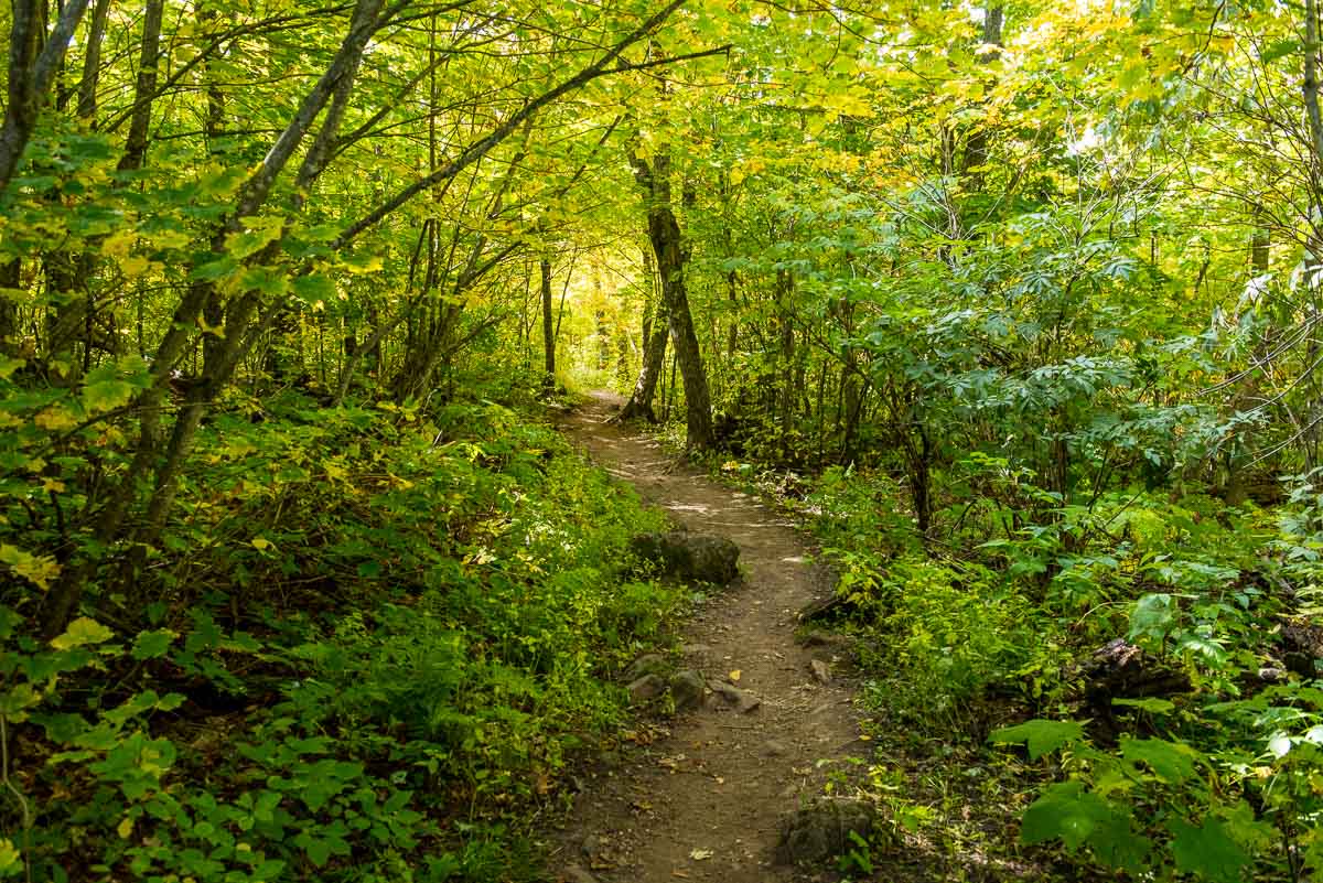 minnesota oberg mountain trail 4