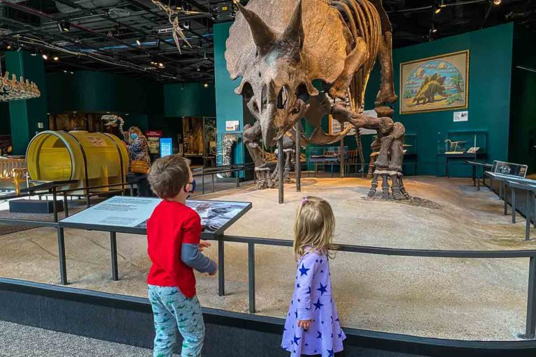 The Science Museum of Minnesota - MN Trips