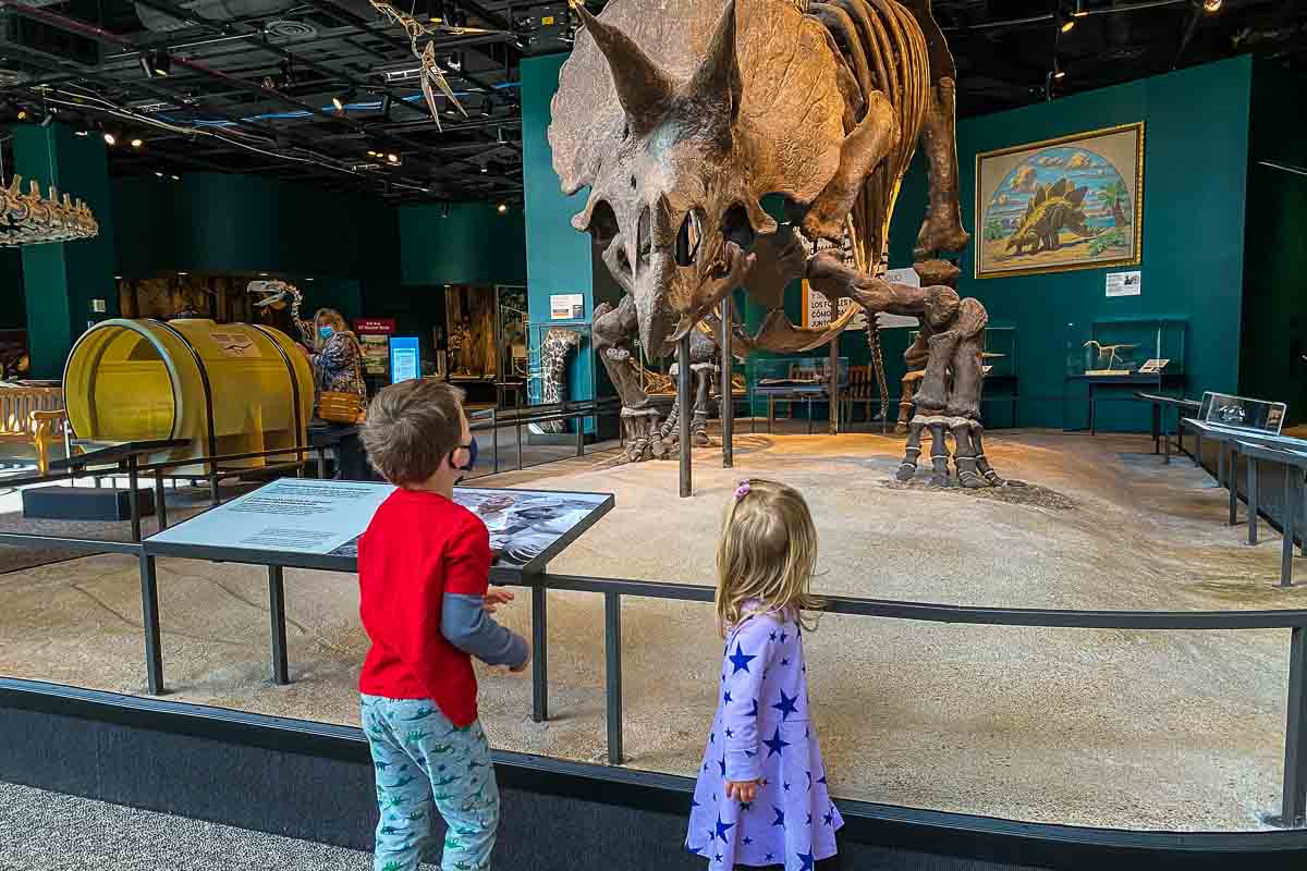 minnesota science museum dinosaur