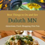 Fun Things to Do Duluth MN