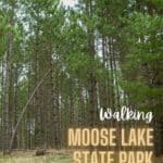 Moose Lake State Park