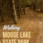 Moose Lake State Park MNTRIPS