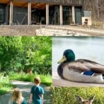 Nature parks Twin Cities