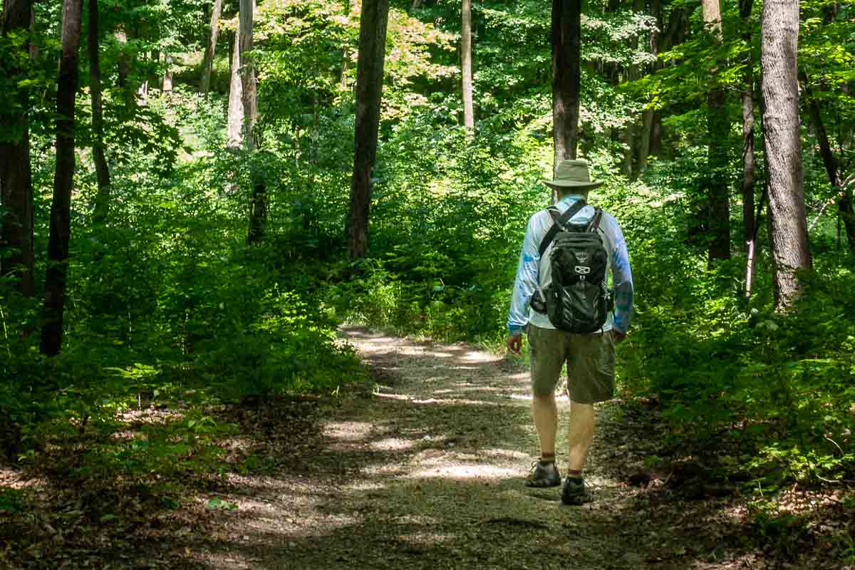 hiking day pack