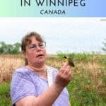 Birding in Winnipeg