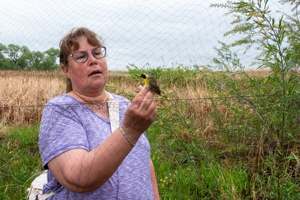 canada winnipeg bird banding