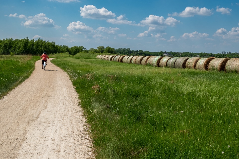 Nature and birding Winnipeg