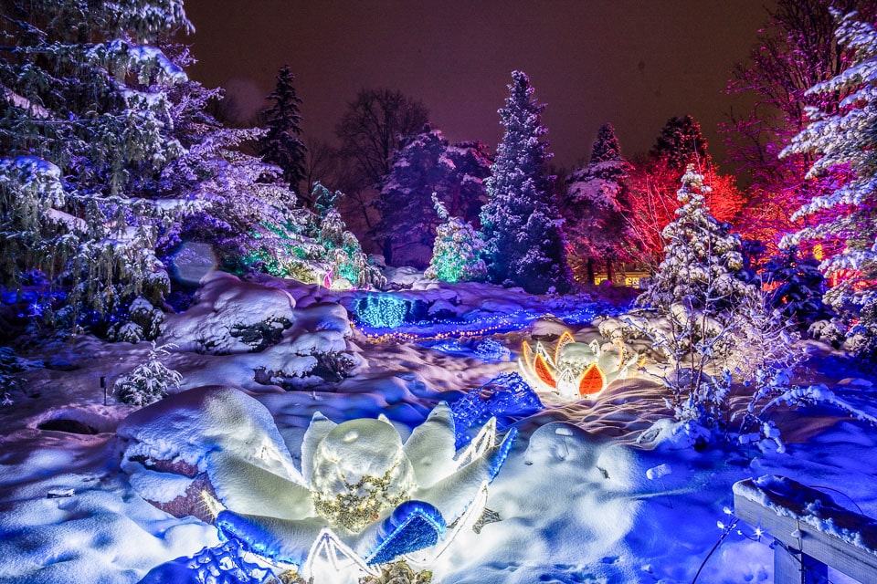 arboretum winter lights
